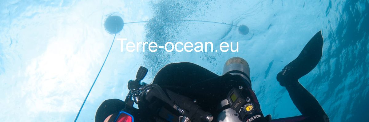 terre-ocean.us-mag.club